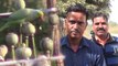 नशेड़ी तोते: अफीम के नशे की लग गई लत, किसानों के सारे जुगाड़ हो रहे फेल, देखें Video