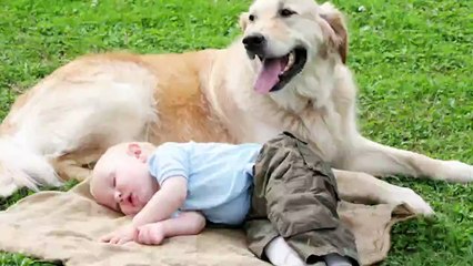 Funniest Moment Between Babies and Dog_2019  Funny Videos 0600