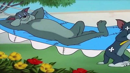 Tom and Jerry -  Cat Napping + Southbound Duckling - том и джерри все серии подряд 2018