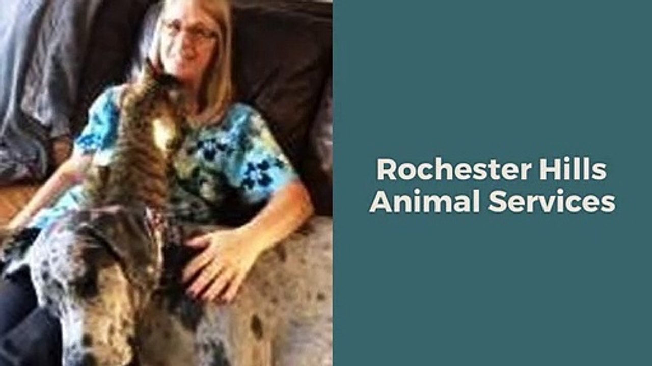 Rochester Hills Animal Hospital|Rochester Hills Animal Clinic