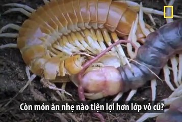 ret-khong-lo-nam-my-tu-an-xac-minh-sau-khi-lot-vo