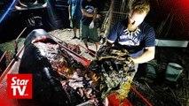 Dead whale in Philippines had 40kg of plastic bags in its stomach