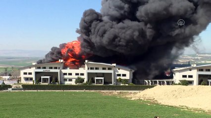 Arnavutköy'de fabrika yangını (4) - İSTANBUL