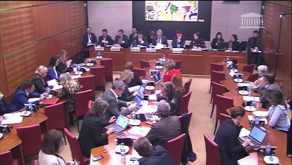 Commission des affaires culturelles : Lutte contre le streaming illégal - Mercredi 20 mars 2019