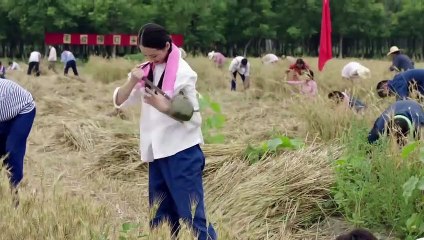 芝麻胡同 49 - Memories Of Peking 49（何冰、王鷗、劉蓓等主演）