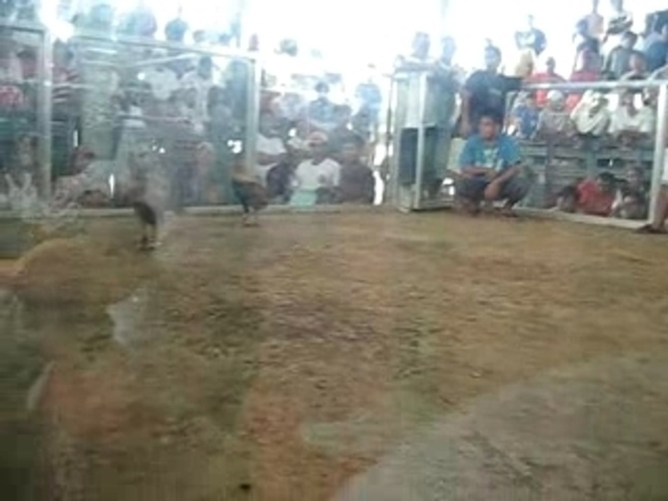 Binabae Sudipen Winner