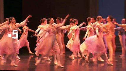 [BA] Le Lac des Cygnes - 23/03/2019