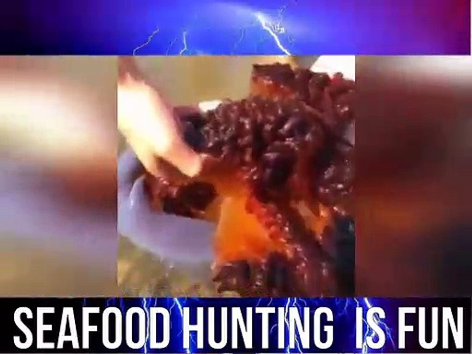 Seafood hunting