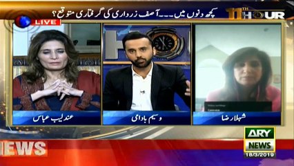 Ayyan Ali left the country with court's permission: Shehla Raza