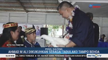 Politisi NasDem Dikukuhkan Sebagai Tadulako Tampo Behoa