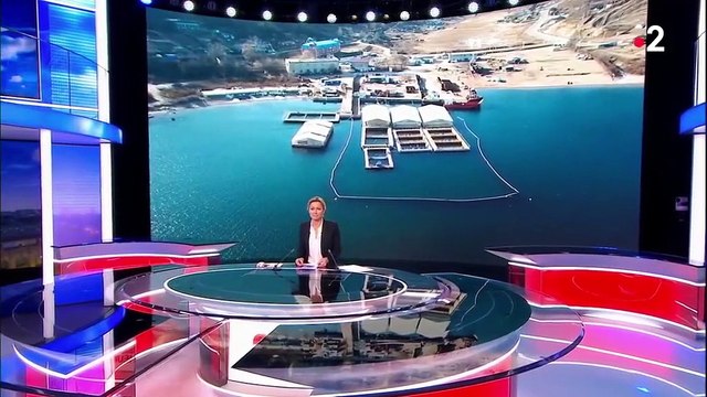 En Russie, une prison à baleines enferme des cétacés (en attendant leur vente à la Chine)