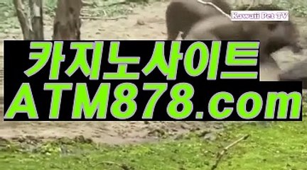 온라인카지노싸이트≪≪STK424.coM≫≫온라인바카라싸이트 온라인카지노싸이트≪≪STK424.coM≫≫온라인바카라싸이트