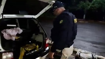 PRF apreende 190 kg de maconha na rodovia BR-277