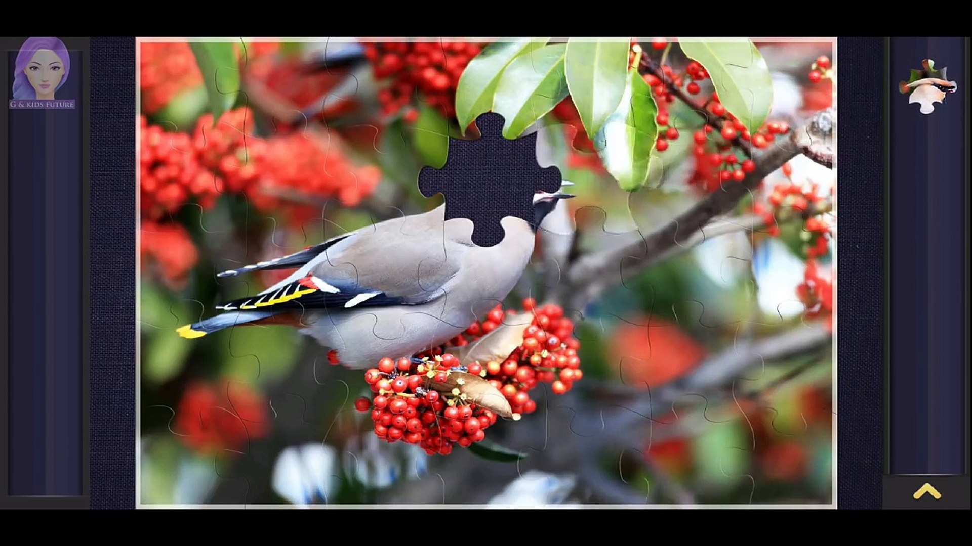 ⁣ᴴᴰ Jigsaw Puzzles - Giraffes In Kenya, Africa, Bohemian Waxwing, Red Deer, Curious Koala