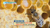 [HEALTH] What is the effect of royal jelly on improving immunity?,기분 좋은 날20190319