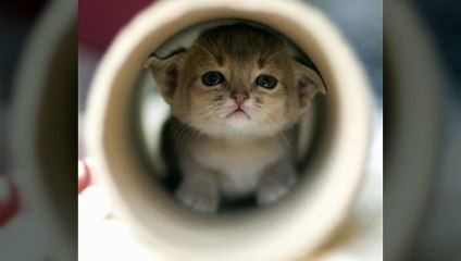 오산안마 ƹ 오산안마방〔O1oᴖ5836Σ3763〕 Ȁ 오산안마방황제코스 ◹ 오산안마시술소문의 dignity ƹ 오산안마 ╹ 오산안마방비교 ％ justify ᵦ 오산안마방가격싼곳 ◹ 오산안마방가격 ％ 오산안마 Ȁ