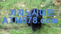 モ 카지노쿠폰지급 카지노폰배팅☞☞MST272。ＣＯＭ☜☜실시간카지노  바르마이크 감독은