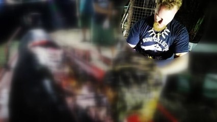 숨진 고래 뱃속서 플라스틱 쓰레기 40㎏ 발견 / YTN