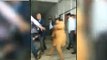 यूनिवर्सिटी स्टाफ ने छात्र के साथ आए युवकों को लाठियों व लात-घूंसों से पीटा, VIDEO वायरल-University staff beat student with sticks in jhunjhunu