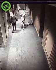 Un enfant se venge contre un adulte qui l’a fait tomber dans le couloir d’un hôtel