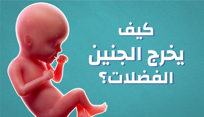 كيف يخرج الجنين الفضلات؟