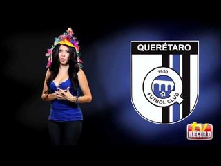 Los gallos blancos con un futuro incierto