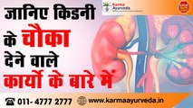 Kidney Functions in Hindi | Kidney Failure Treatment in Ayurveda | Dr Puneet Dhawan