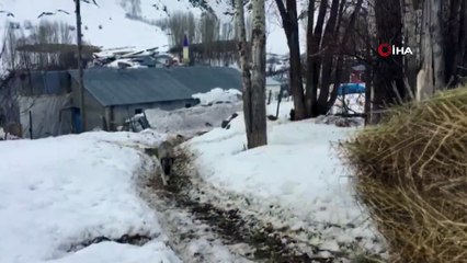 Köylerde hayvancılıkla uğraşanlar çetin geçen kış nedeniyle zor günler geçirdi