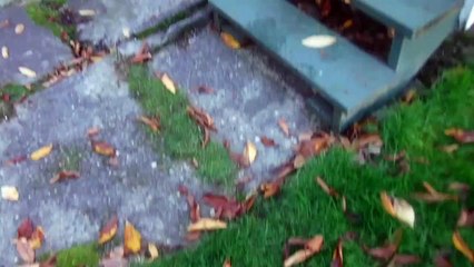 Home Inspector  Shows Failing Back Porch