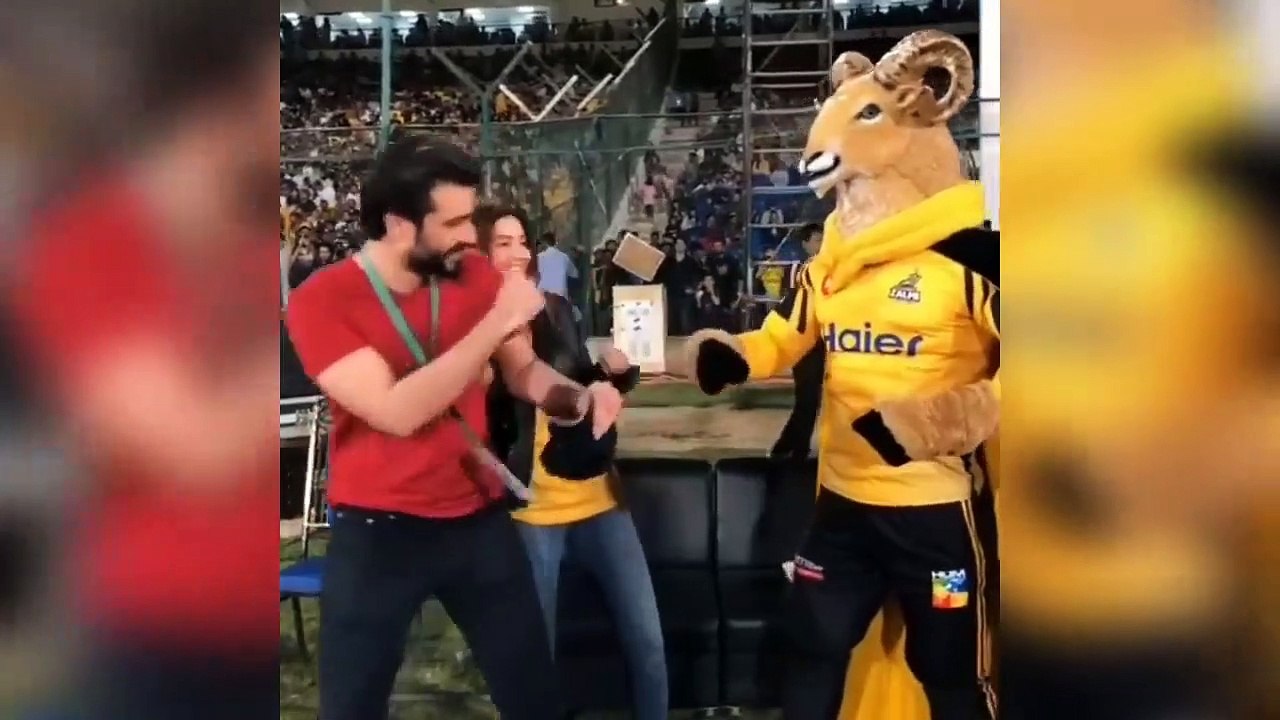 HBL PSL4 2019 | Memorable  Moment Of  HBL PSL4