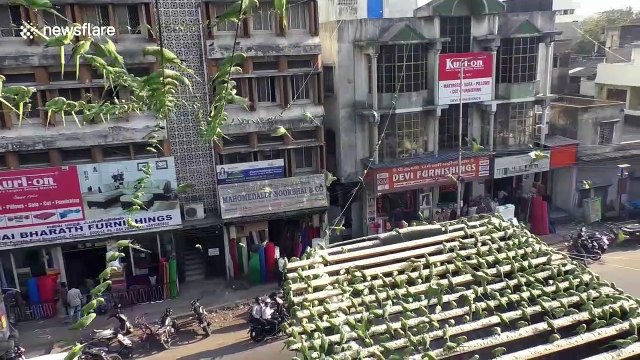 Indian man feeds thousands of parakeets everyday from outside his apartment