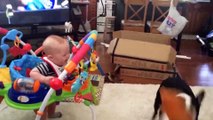 Funny Baby and Dog Playing Together Video_2019 Funny Videos 0600