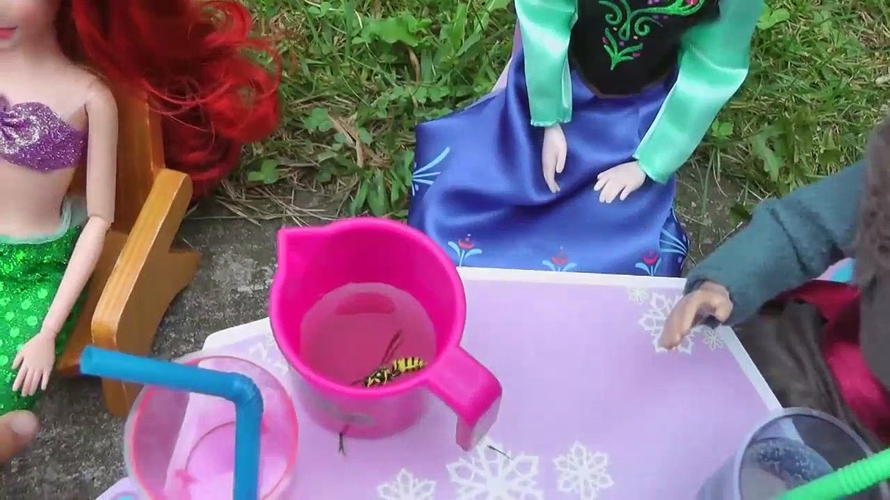 ELSA du Barbecue ! Elsa et Anna, les tout-petits au BARBECUE ! Pique-nique