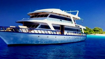 Conseguir el ansiado FLOW no es solo para profesionales