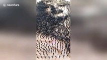 Chinese artist creates portrait of Marilyn Monroe using over 9000 screws