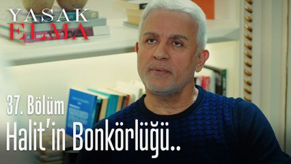 Halit'in hediyesi, külçe altın! - Yasak Elma 37. Bölüm
