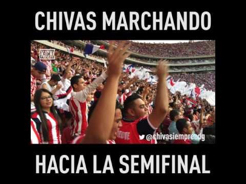 Los aficionados de Chivas camino a Semifinales del Clausura 2017. By KICK