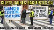 Fin du Monde, Fin du Mois - Même Combat.             Gilets Jaunes Pacifistes 94  montent à Paris le 16/03/2019