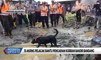 Banjir Bandang di Jayapura, 15 Anjing Pelacak Bantu Pencarian Korban