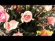 El poder de las flores - Kala Ruiz