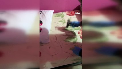 Çete üyelerinin yatak ve bazalarından silah fışkırdı