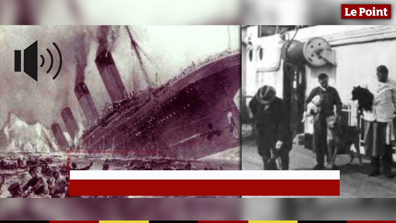 14 avril 1912 : le jour où plusieurs naufragés du Titanic sont sauvés par un chien