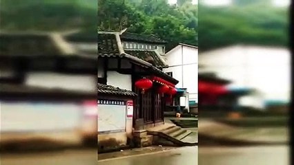 Lost boar ends up on house roof before falling off and getting caught in China