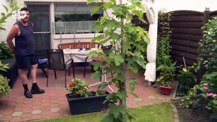 Patio Smoking Ban: What You Need to Know 🚭