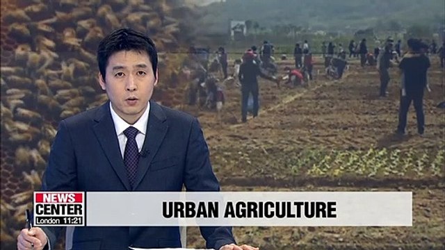 Seoul to support urban garden farming, beekeeping and insect breeding