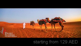 Desert Planner - Dubai Tour Packages