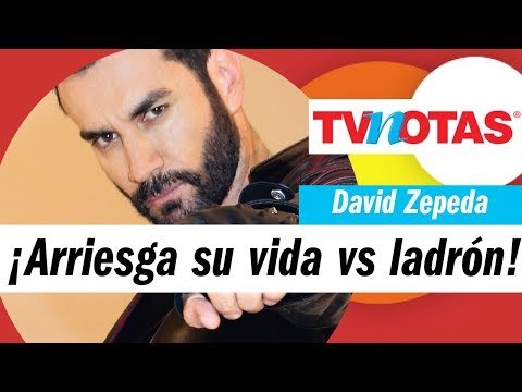 Noticias irresistibles: David Zepeda, Ninel Conde y Marimar Vega