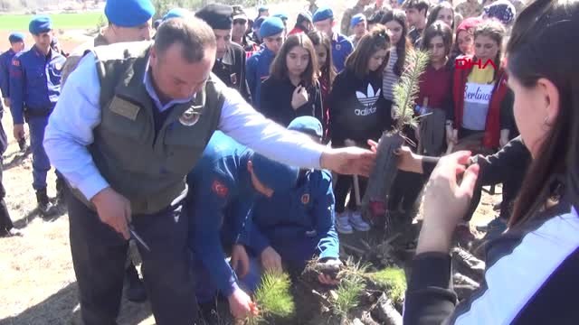 Çorum Jandarma ve Öğrenciler Birlikte Fidan Dikti