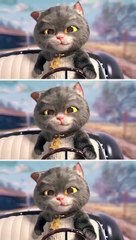 A nice day for driving.