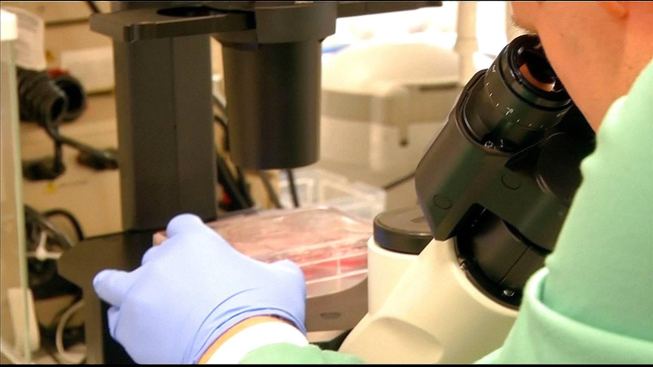 Should gene editing be regulated after China case?